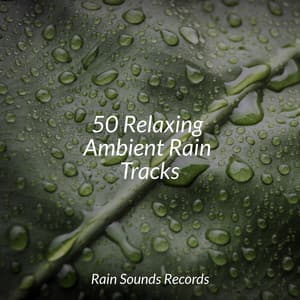 50 Relaxing Ambient Rain Tracks - Relaxation