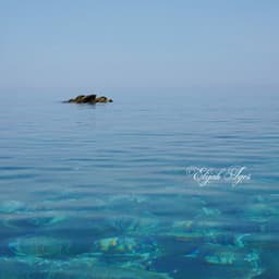 Liquid Soul - Elijah Ages