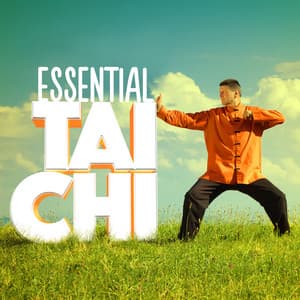 Essential Tai Chi - Tai Chi And Qigong