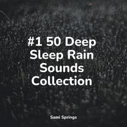 #1 50 Deep Sleep Rain Sounds Collection - Yoga Trainer