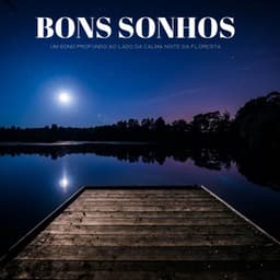 Bons Sonhos: Um Sono Profundo Ao Lado Da Calma Noite Da Floresta - #Calmante