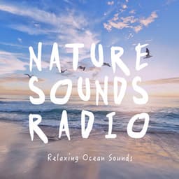 Relaxing Ocean Sounds - Nature Sounds Radio