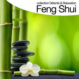 Feng Shui - Relaxation Big Band