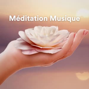 Méditation Musique - Chakras Yoga Spécialistes