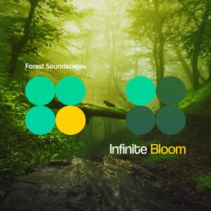 Infinite Bloom - Forest Soundscapes