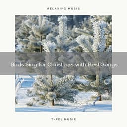 Birds Sing for Christmas with Best Songs - Sounds of Nature Relaxation
