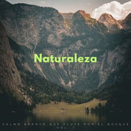 Naturaleza: Calmo Arroyo Que Fluye Por El Bosque Vol. 1 - Sonidos de agua Ruido blanco natural