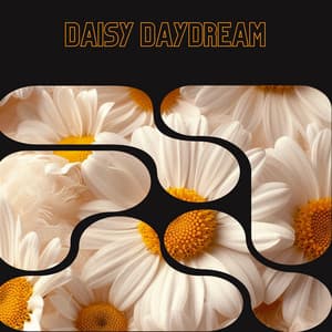 Daisy Daydream - Floral Health - HerBaLance