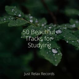 50 Beautiful Tracks for Studying - Yoga Namaste