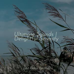Ultimate Sounds | Delightful Serenity - Happy Baby Lullaby Collection
