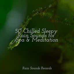 50 Chilled Sleepy Rain Sounds for Spa & Meditation - Lightning, Thunder and Rain Storm