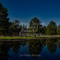 Soothing Sounds of Nature | a Powerful Atmosphere - Lucid Dreaming World-Collective Unconscious Mind