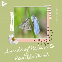 Sounds of Nature to Rest the Mind - ASMR Zen Garden