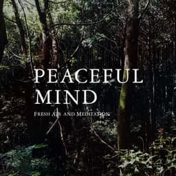 Peaceful Mind - Fresh Air and Meditation