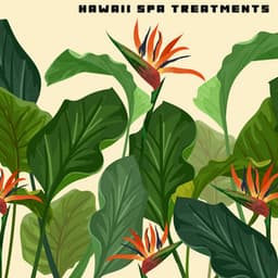 Hawaii Healing Retreat Treatments - Isa Samhita