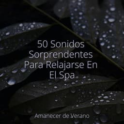 50 Sonidos Sorprendentes Para Relajarse En El Spa - kinderliedjes