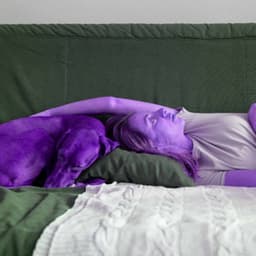 Cultivated Background for Doggy Vibes - Calming for Dogs