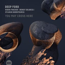 Deep Ford: You May Cross Here - Robin Fincker