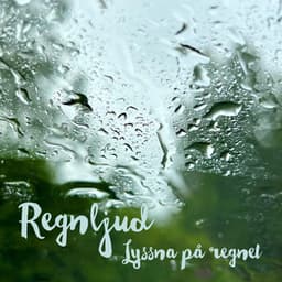 Lyssna på regnet - Regnljud