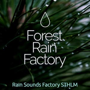 Forest Rain Factory - Rain Sounds Factory STHLM