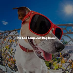 No Sad Song, Just Dog Music - Study Time