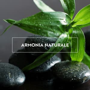 Armonia naturale: Crea il tuo spazio di calma spirituale, chiarezza ed equilibrio tra mente e corpo - Relax musica zen club