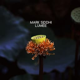 Listening to the Akashic Wind - Mark Siddhi