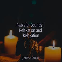 Peaceful Sounds | Relaxation and Relaxation - Mantra para Meditar