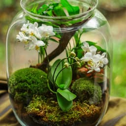 1 Ambient: Demure - Spa Music Relaxation