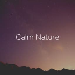 Calm Nature - Nature of Sweden