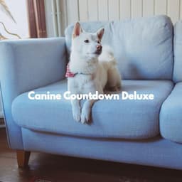 Canine Countdown Deluxe - Easy Listening Morning Music