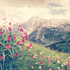 Zen Sleep - Yoga Flow