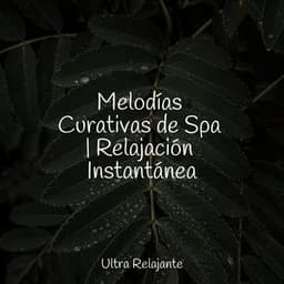 Melodías Curativas de Spa | Relajación Instantánea - Musica Relajante Specialistas