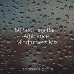 50 Soothing Rain Ambiance Mindfulness Mix - Musica Para Estudiar Academy