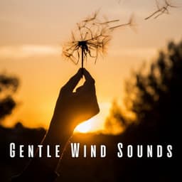 Gentle Wind Sounds - Nature Sound Series