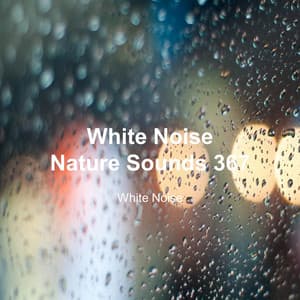 White Noise 367 - White Noise