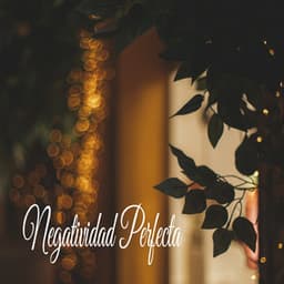 Negatividad Perfecta - Unidad de música zen relajante