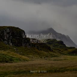 Grabaciones Peaceful Mindfulness - Relajación Piano