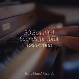 50 Beautiful Sounds for Total Relaxation - Yoga Music