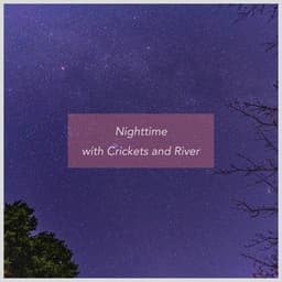 Nighttime with Crickets and River - Bell Crickets