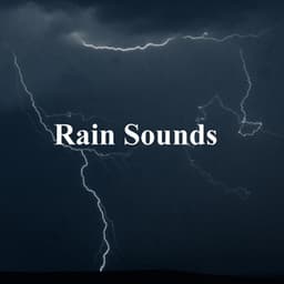 Rain Sounds - Nature Of Sweden