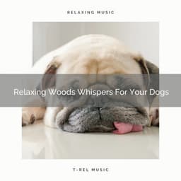 Relaxing Woods Whispers For Your Dogs - Dog Total Relax
