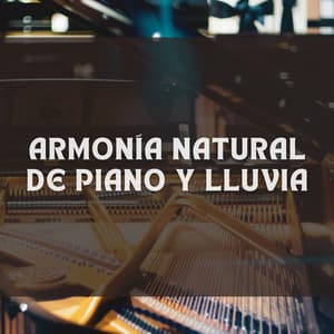 Armonía Natural De Piano Y Lluvia - Lluvia Mozart