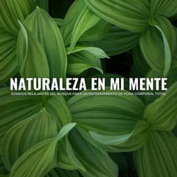 Naturaleza En Mi Mente: Sonidos Relajantes Del Bosque Para Un Entrenamiento De Yoga Corporal Total - Sonidos Naturaleza
