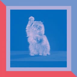 Thrilling Bgm for Affectionate Cats - Cat Music Studio