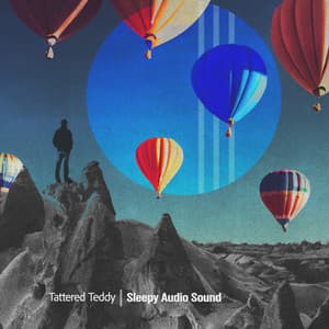 Sleepy Audio Sound - Tattered Teddy
