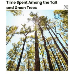 Time Spent Among the Tall and Green Trees - Nature Sleep