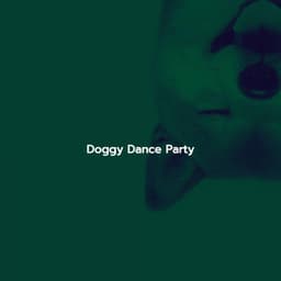 Doggy Dance Party - Afternoon Chill Out Playlist