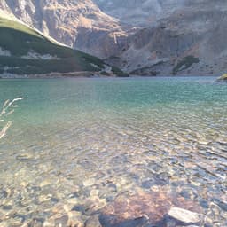Yellow Mountains - Cozy Coffee Shop