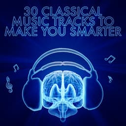 30 Classical Music Tracks to Make You Smarter - Wolfgang Amadeus Mozart